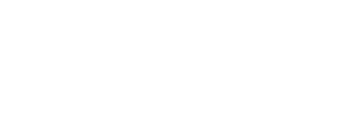 MobilityTwin.Brussels
